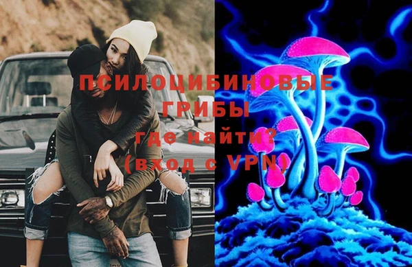 амфетамин Каменка