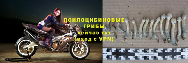 соль курить ск Каменногорск