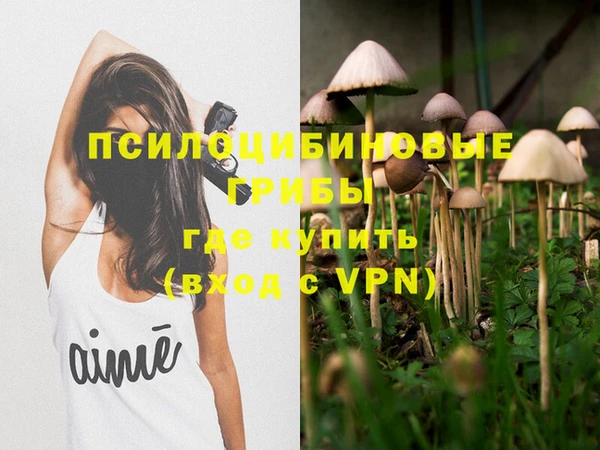 соль курить ск Каменногорск