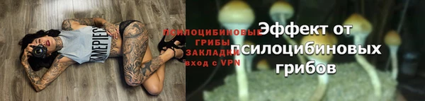 соль курить ск Каменногорск