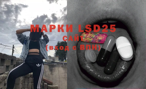мяу мяу мука Инсар