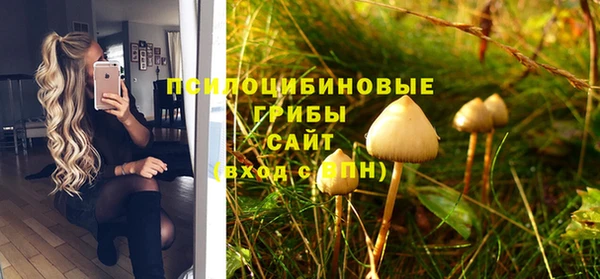 амфетамин Каменка