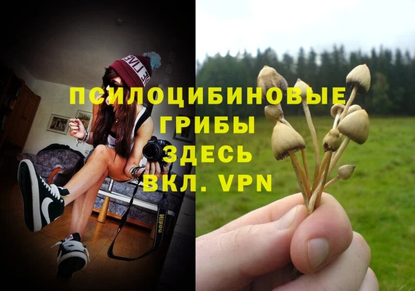 амфетамин Каменка