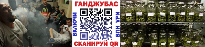 Бошки Шишки ГИДРОПОН  Купить где  Петровск-Забайкальский 